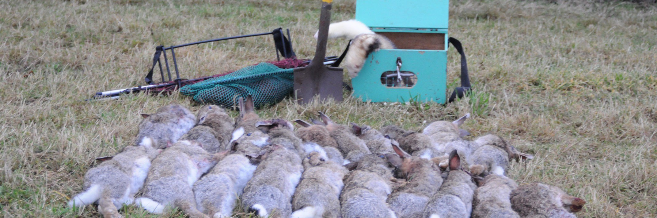 Rabbit_Shifter's profile banner image