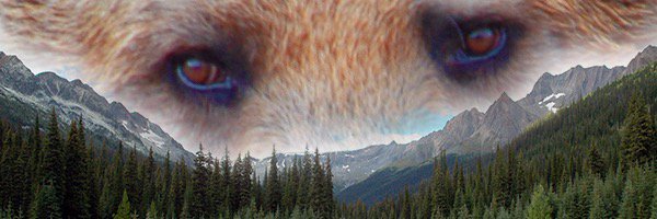 tonilovesabed's profile banner image