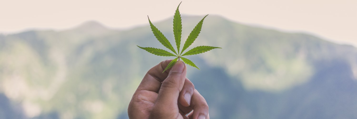 Ministry of Hemp banner