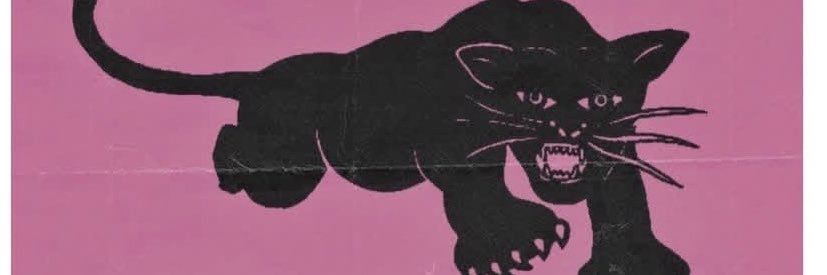 anusgraham's profile banner image