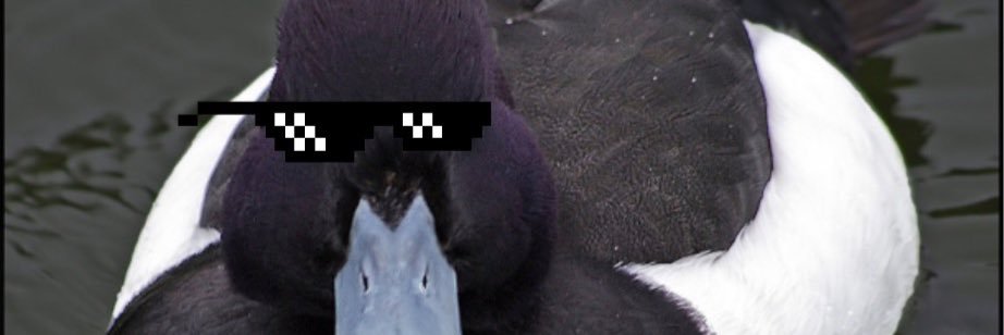 kerswill_ryan's profile banner image