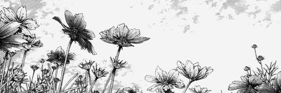 Offels's profile banner image