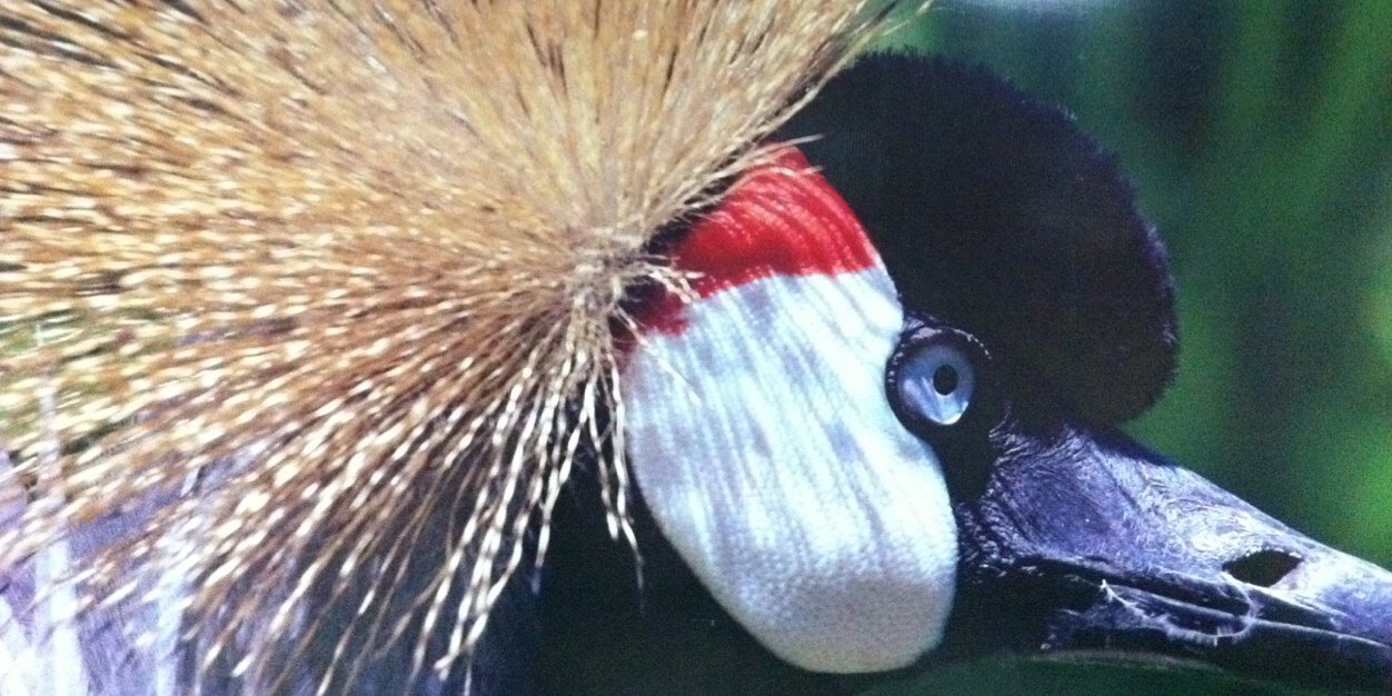 corpat67's profile banner image