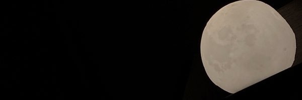 らーめん(麺なしメンマあり味玉希望) banner