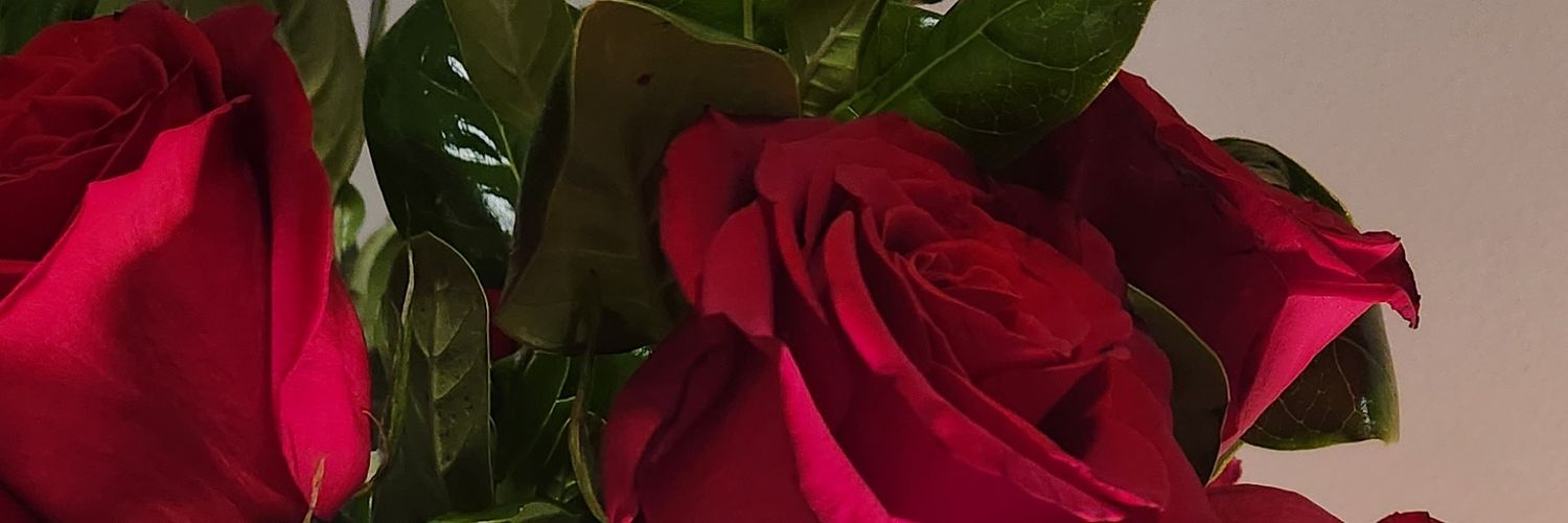 vlouise_'s profile banner image