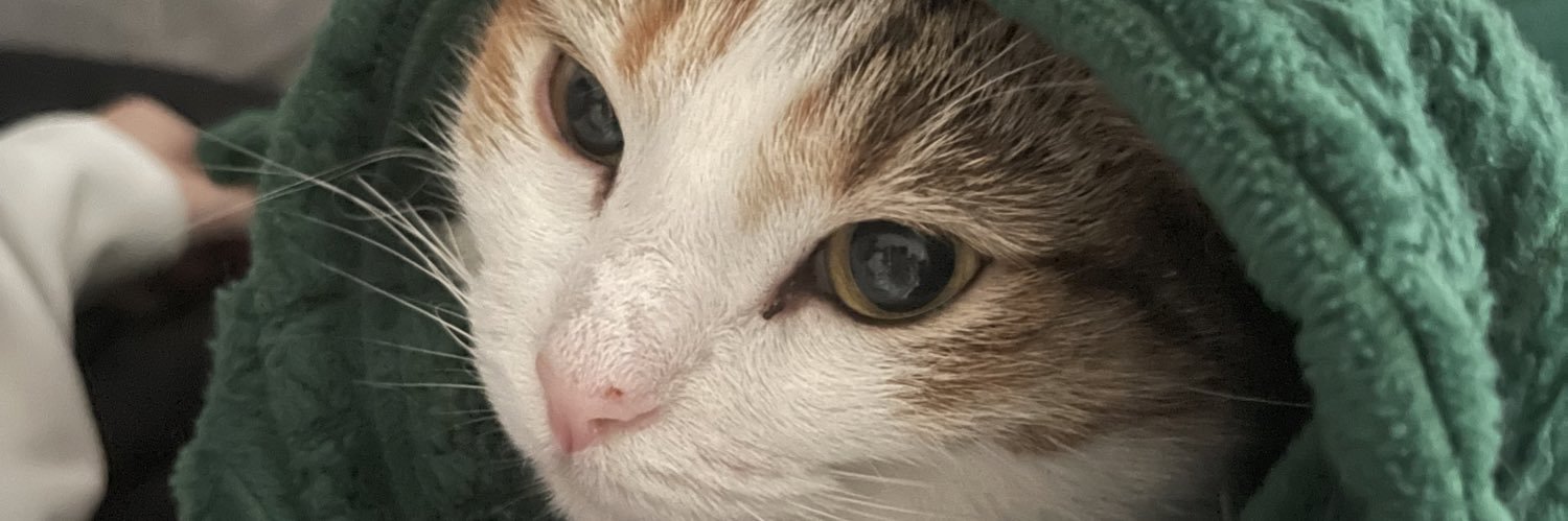 CaarleyMaddison's profile banner image