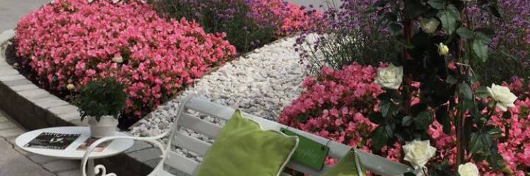 منى عبدالرحمن banner