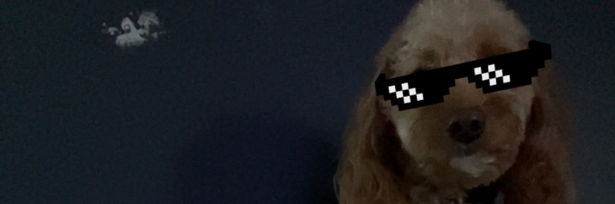 sam banner