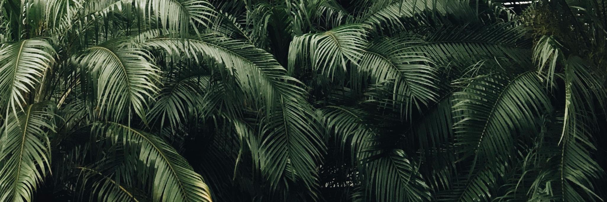 finduselsewhere's profile banner image