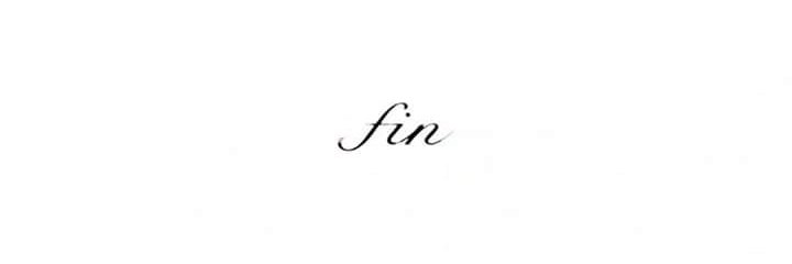 BALATRO / 광대놀음 banner