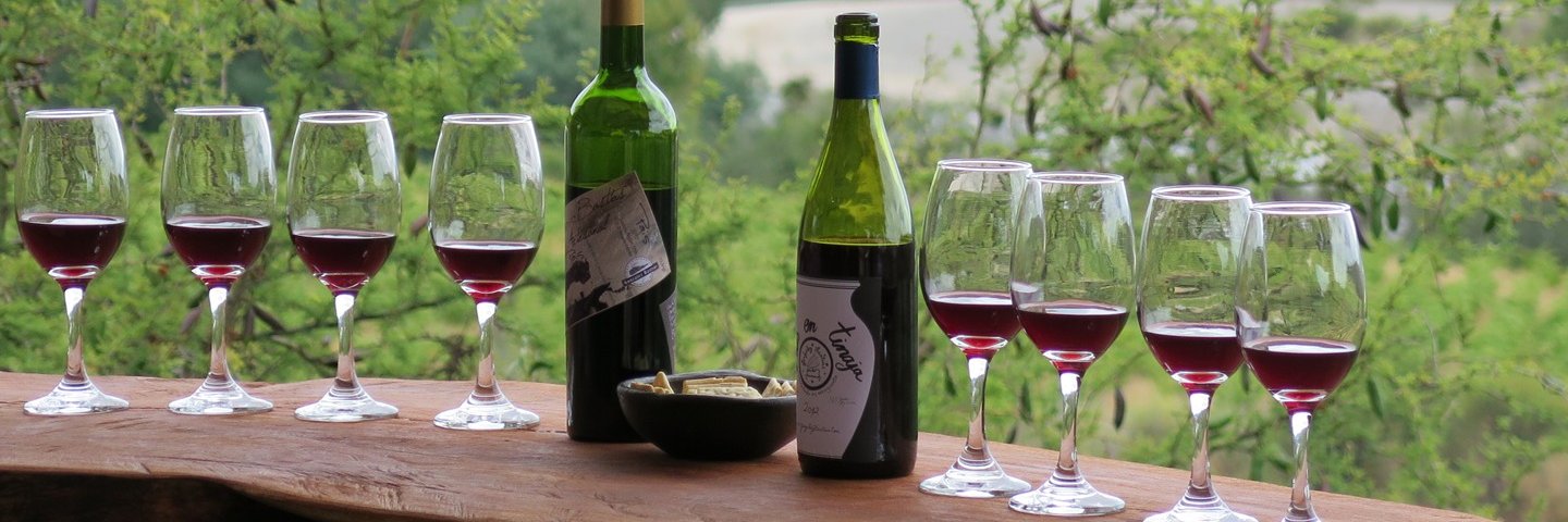 vinosdechile's profile banner image