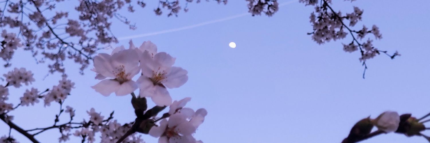 Azuma0rz's profile banner image