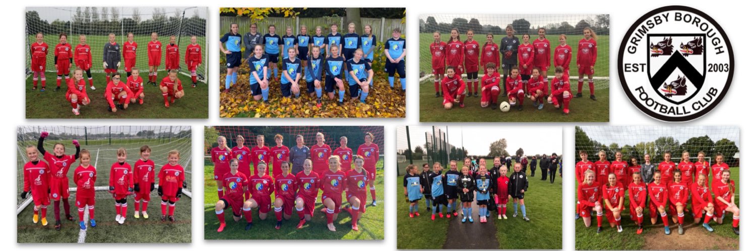 Grimsby Boro Ladies/Girls FC banner