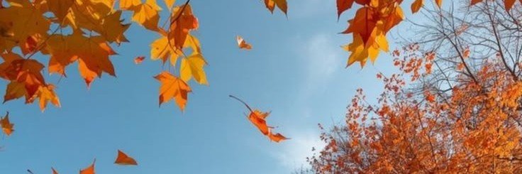 Sweet_Tatjana's profile banner image