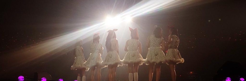apinksrang's profile banner image