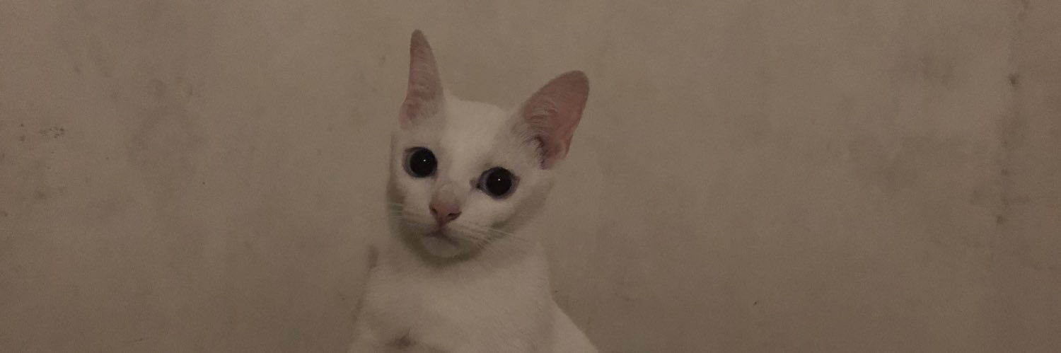 farah ramadhani banner