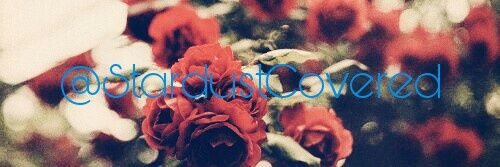 StardustCovered's profile banner image
