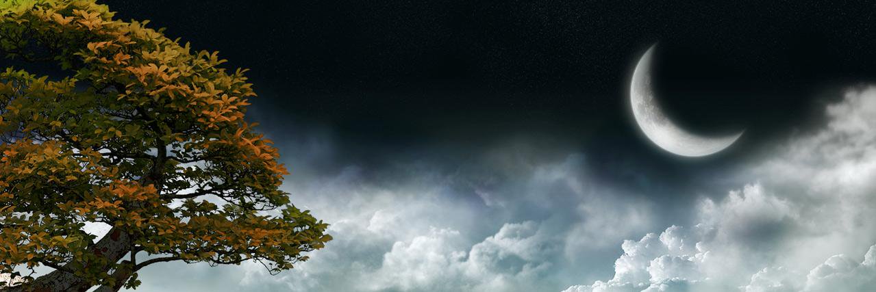 syedmujahidali2's profile banner image