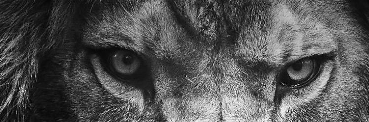 maria_mtns's profile banner image