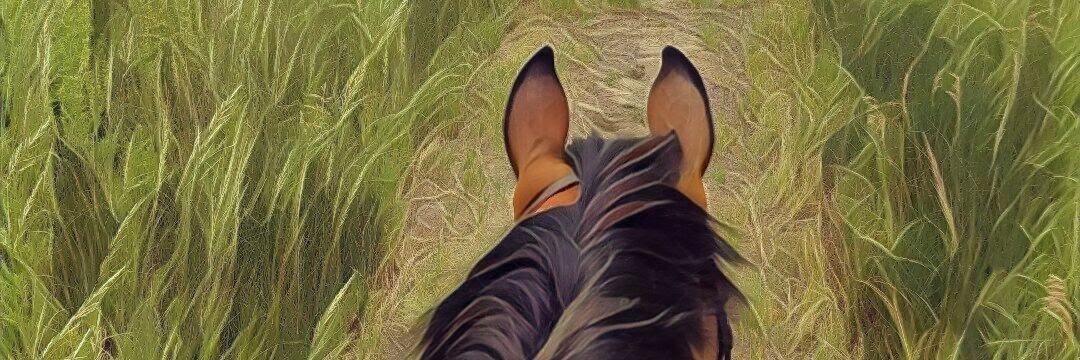 raytexel's profile banner image