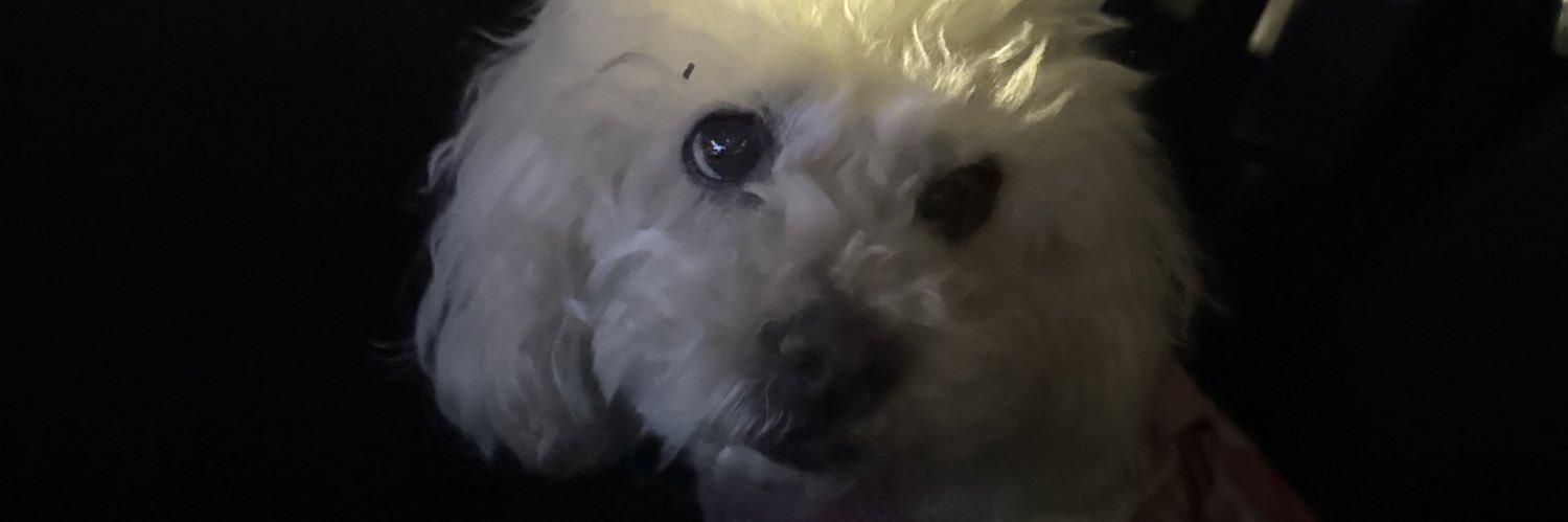 cgn0t6's profile banner image