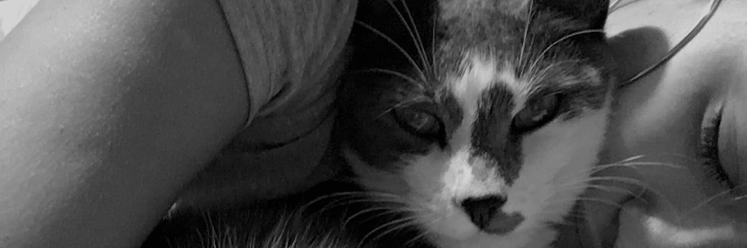 marigaleano_'s profile banner image