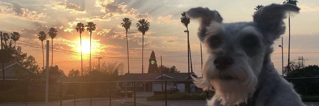 Shozylhead's profile banner image
