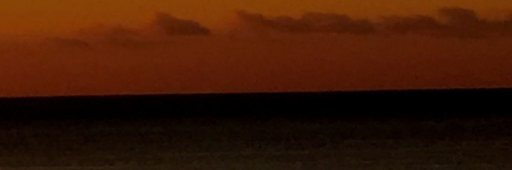 lialeigh7's profile banner image
