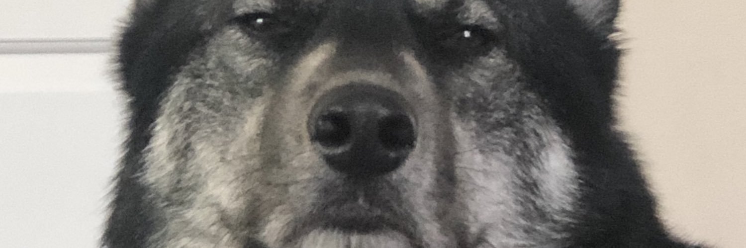 princessxellax's profile banner image