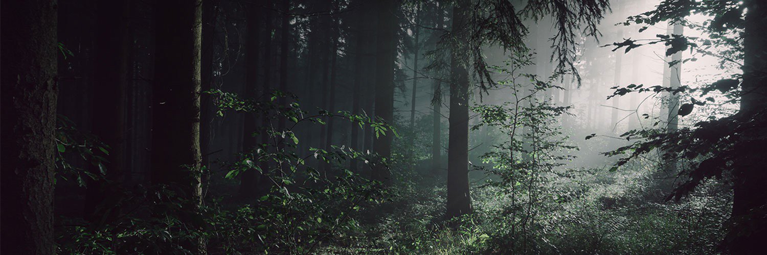 NovateurNorge's profile banner image