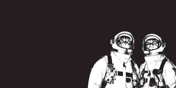 Leasharples's profile banner image