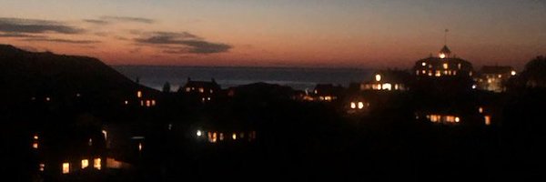 SusanSvrluga Profile Banner