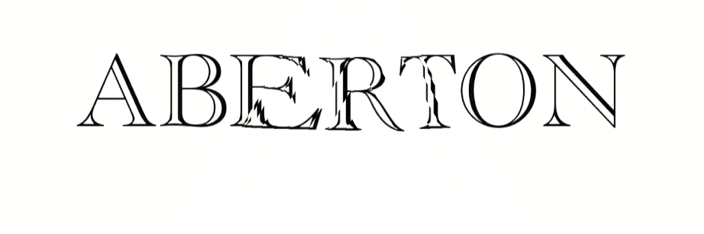 NicoloBerton's profile banner image