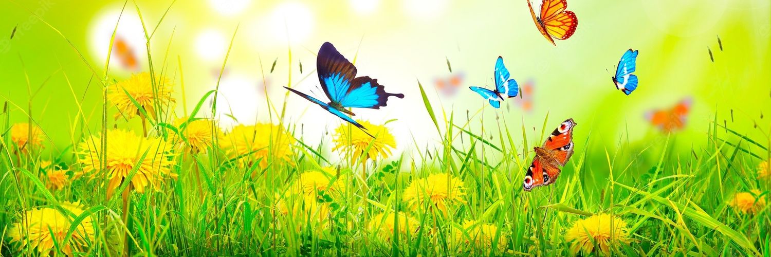 दीपशिखा इन्द्रा banner