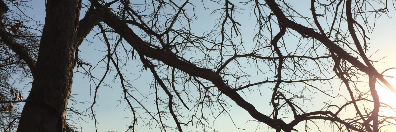williamm_obrien's profile banner image
