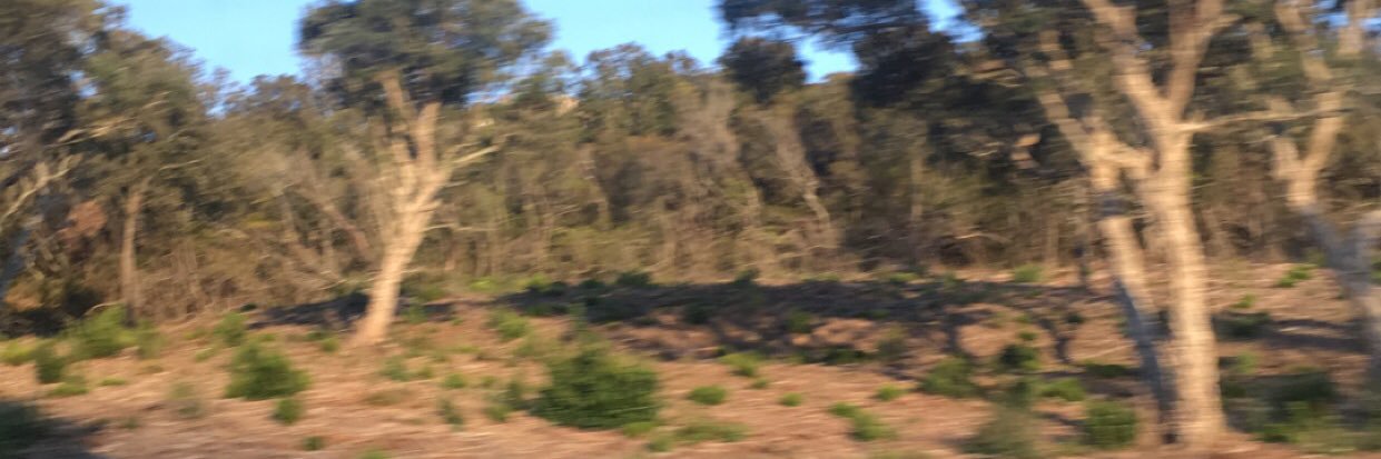 yaellchoukroun's profile banner image