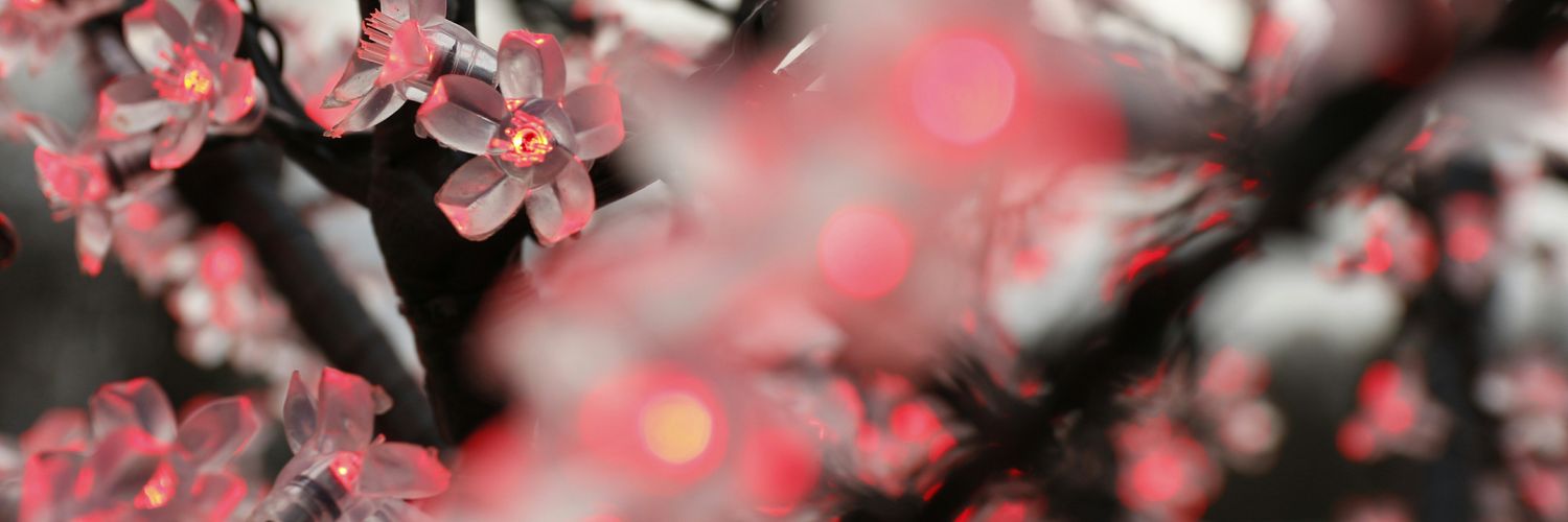 AllaNet1's profile banner image