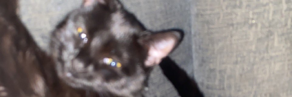 laur0102's profile banner image