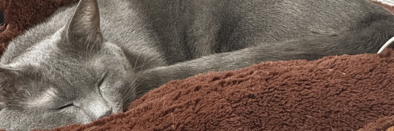 🐖 banner