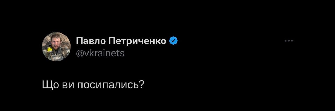 Maryna Petrychenko's banner