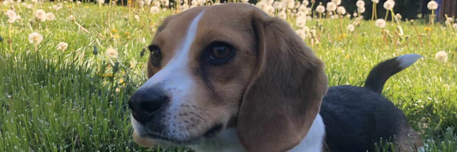 BeccaCounts's profile banner image
