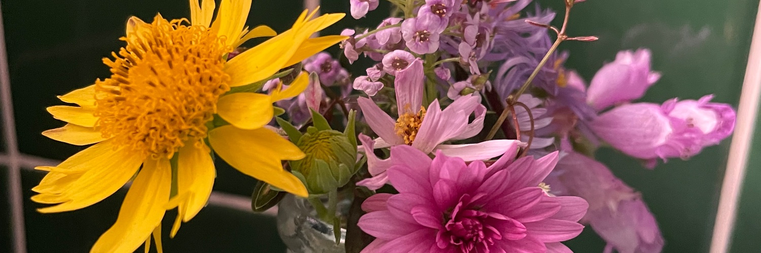 SylviaHarrington, also known as sylviatx banner