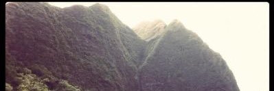beau_nemli's profile banner image