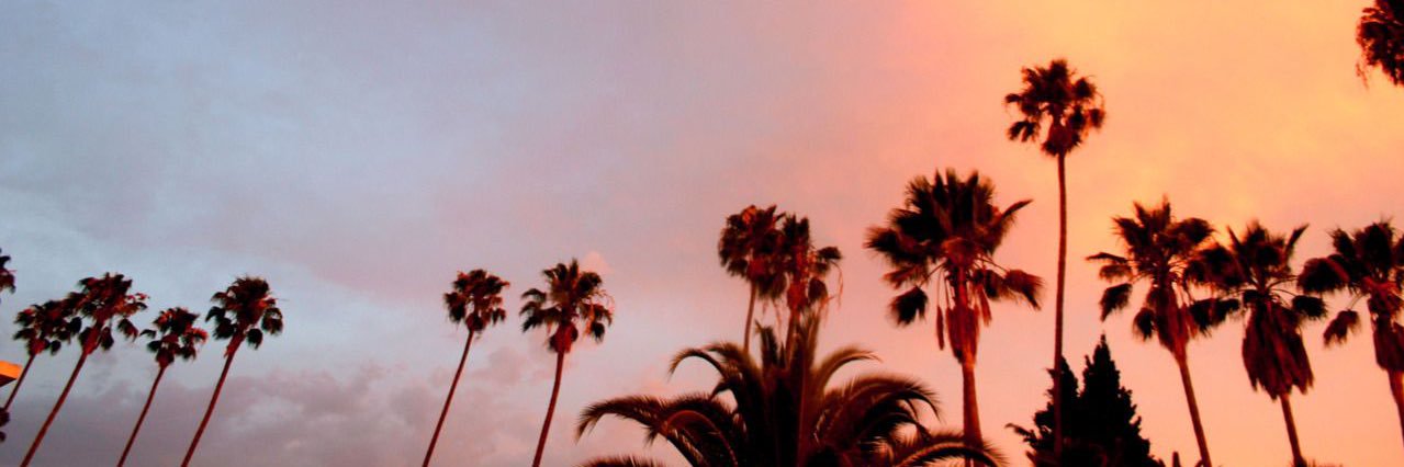 JulioMcFly1985's profile banner image