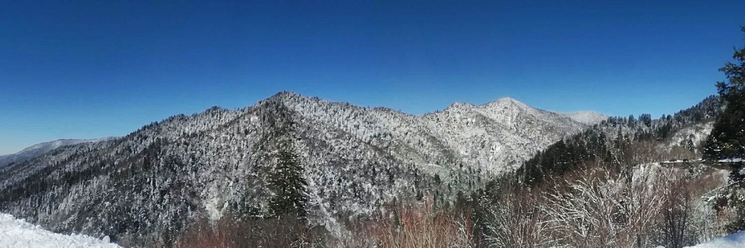 Casey_Bright's profile banner image