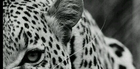 LauFellows's profile banner image