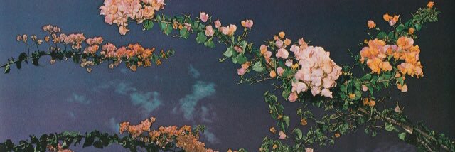 fl0werhe4d's profile banner image