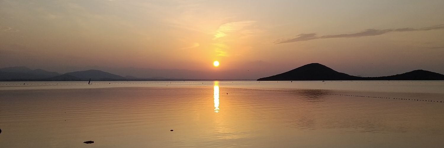 PauRubibi's profile banner image