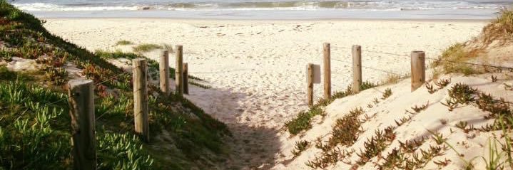 Su🌈 banner