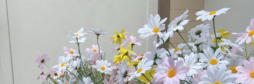 KssZdss's profile banner image